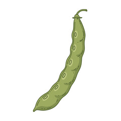 A long green bean pod with visible bumps and a small stem. Isolated transparent background ( include cut-out PNG file )