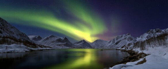 northern lights aurora dancing above a snowy scene enchanting wildlife
