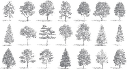 Collection of diverse grey trees rendered in stippled style. Various deciduous and coniferous shapes are depicted © Pixel Park