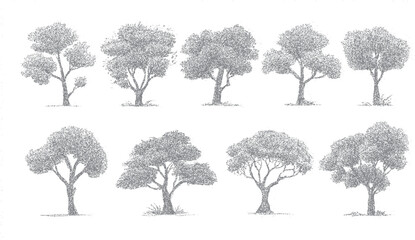 Fototapeta premium Eight stippled grey trees with textured foliage and branches on a white background stippling