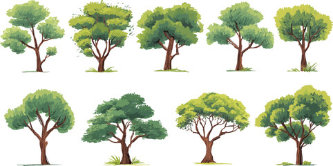 Eight diverse green trees with brown trunks and leafy canopies on white background nature © Pixel Park