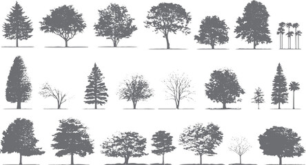 Collection of diverse deciduous and coniferous trees in silhouette form. Various tree types are depicted with detailed foliage and branch structures © Pixel Park