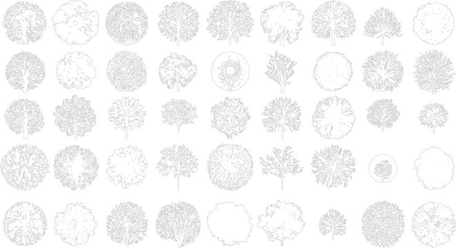 Collection of diverse black and white tree view outlines with varied foliage and branch structures