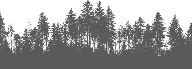 Dark grey silhouette of dense pine forest trees against a white background © Pixel Park