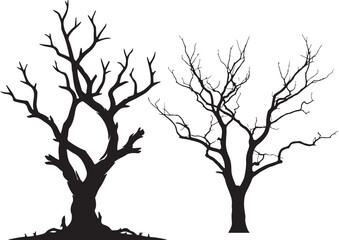 Fototapeta premium Old tree on white background.