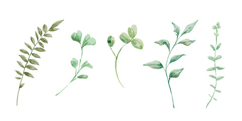 Fototapeta premium Watercolor hand drawn set of branches and leaves. Watercolor greenery and foliage