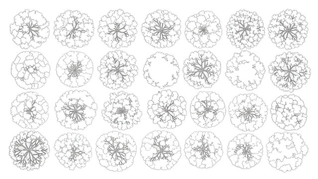 Large Deciduous Tree Canopies Architectural Plan View Top Outline Vector Set