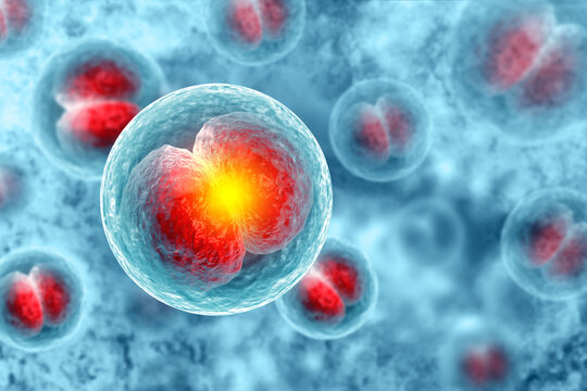 Human cell or Embryonic stem cell microscope background. 3d illustration