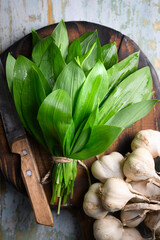 Fresh wild garlic leaves arranged on cutting board with kitchen knife and garlic bulbs. Raw garlic...
