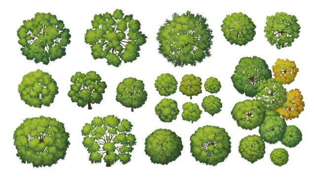 Landscape Design Deciduous Tree Canopy Top View Plan Vector Bundle
