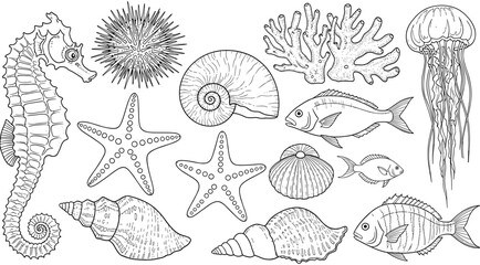 Set, of, linear, marine, life, icons, featuring, seahorse, starfish, shells, coral, jellyfish, and, fish, for, educational, or, nature, design, vector, illustration.
