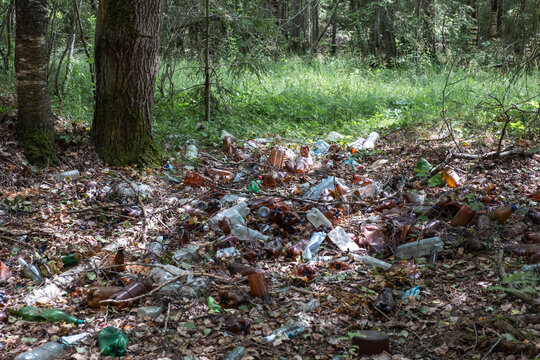 An illegal garbage dump on the edge of a forest