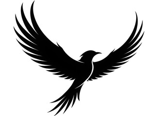 Fototapeta premium bird, eagle, vector, wings, nature, fly, black