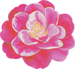 Pink Soft Watercolor Flower Painting Elegant Illustration