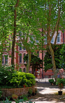 Hidden garden in Mayfair, London