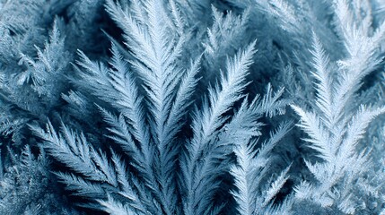 frost texture background, detailed macro