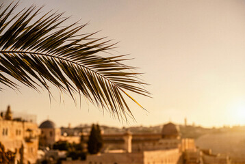 Fototapeta premium Close-up of palm leaves with city skyline at sunset for Palm Sunday 