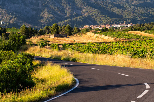 Curving road curve asphalt through countryside vineyard travel route in Catalonia Spain with scenic hills and bright Mediterranean landscape views