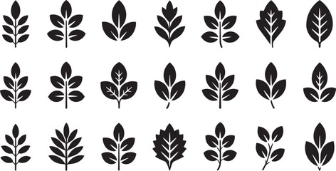 Set of various green leaf shapes and types isolated on transparent background © md