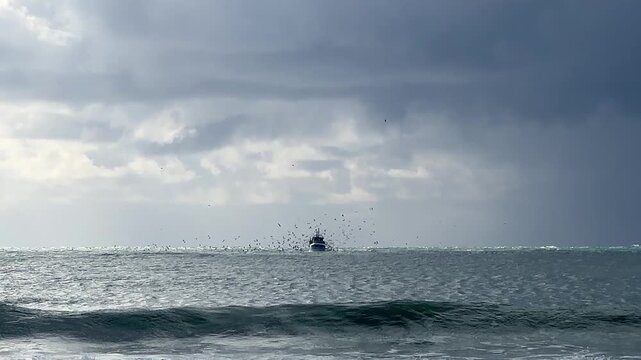 Fixed shot of seabirds circling and following a fishing boat under dramatic cloudy sky off the coast of Barbate, Spain.
