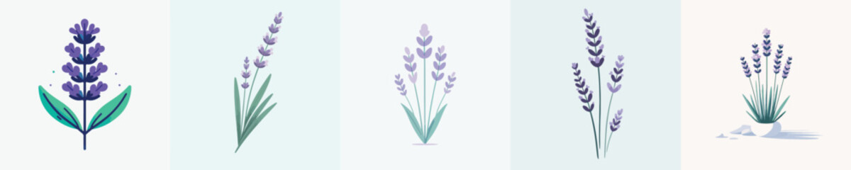 vector of lavender © FirdianKrisna