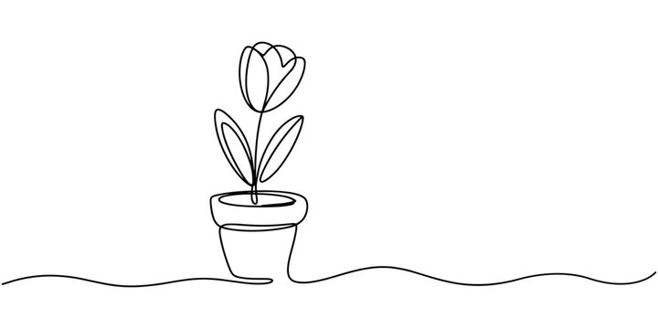 top flower continuous one line drawing, House flower plant in pot continuous one single line drawn concept pro. a beautiful gardening flower tob with orchid flowers, Elegance home decorative elements
