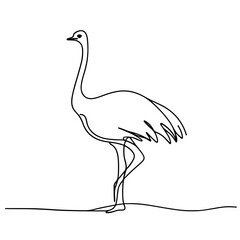 Obraz premium ostrich simple minimalist one line art
