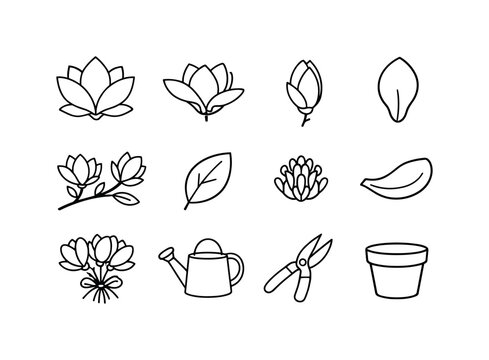 Magnolia Icon Set. magnolia flower simple outline. Line outline icon set of magnolia flower simple outline: