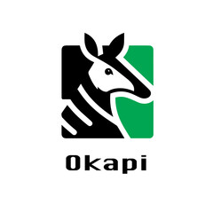 The Velvet-Coated Forest Giraffe of the Congo Rainforest © Amjad