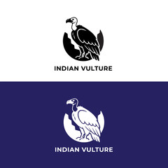 The Indian Vulture