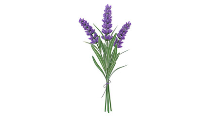 Fototapeta premium Bouquet of Purple Lavender Flowers with Green Leaves