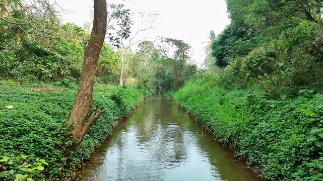 4K Static View from Bridge of Water Flowing through Malampuzha Irrigation Canal, Keralassery, Palakkad