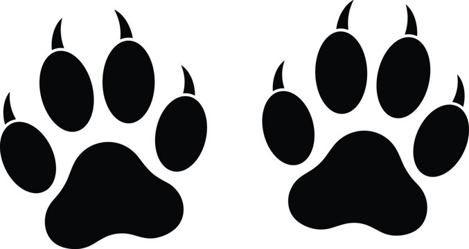 Animal, paw, print, silhouette, tiger, lion, bear, cat, dog, wildlife, track, footprint, claw, predator, hunting vector, illustration, graphic, flavector, art