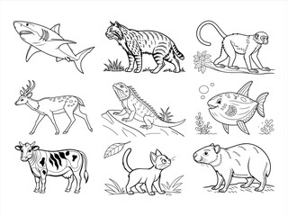 the animal bird and flower black vector bundle