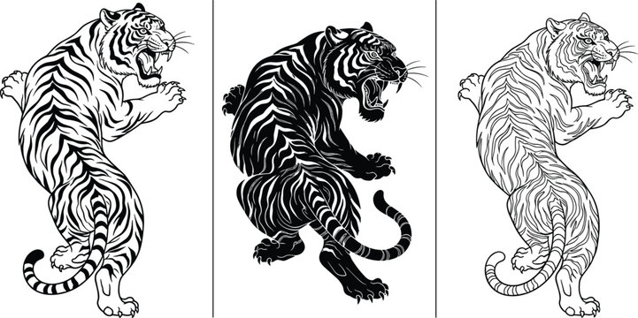 Roaring tiger vector illustration collection, black and white big cat line art, fierce wildlife tattoo design set