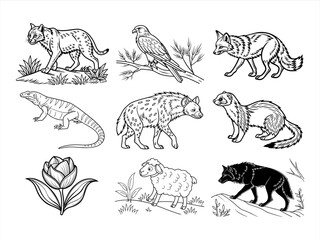 the animal bird and flower black vector bundle