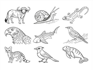 the animal bird and flower black vector bundle