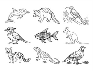 the animal bird and flower black vector bundle