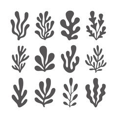 Twelve dark grey abstract organic shapes resembling seaweed or coral © Ali