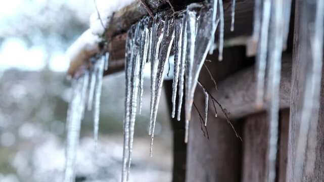 Impressive crystal clear icicles forming on the roof of a wooden cabin in the depth of winter