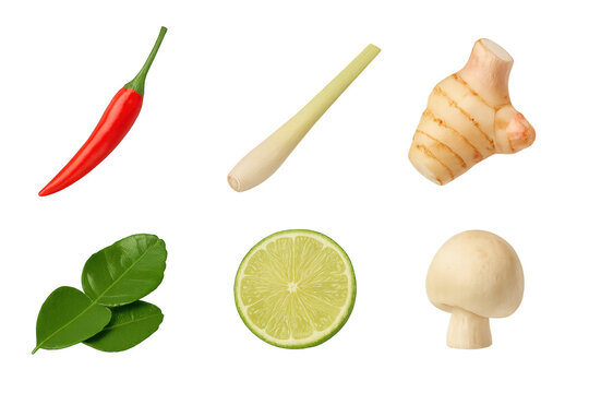 Fresh Thai cooking ingredients arranged on transparent: red chili, lemongrass stalk, galangal root, kaffir lime leaves, lime slice and straw mushroom