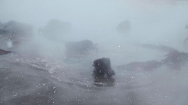 Wide view of buffalo resting in a steaming natural hot spring surrounded by snow. Mist rising over calm water creates a dramatic winter landscape and rural atmosphere.