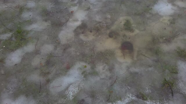 Macro shot of a trapped air bubble underneath a layer of frozen ice in V&aacute;rosliget Park, Budapest. Detailed textures of frost, ice crystals, and winter ground elements create a unique nature abstract.