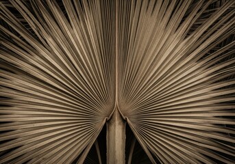 Obraz premium Dried Palm Leaf Unfolding its Intricate Sepia-Toned Texture for Rustic Backgrounds and Sustainable Design Concepts