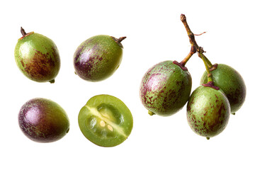 Fresh Green Cocona Fruits with Cross-Section