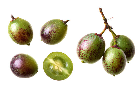Fresh Green Cocona Fruits with Cross-Section