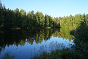 Fototapeta premium See und Nadelwald im Sanginjoki-Naturschutzgebiet, Finnland, Skandinavien, Europa, Wasser, blau, green, Natur, Wasserspiegelung