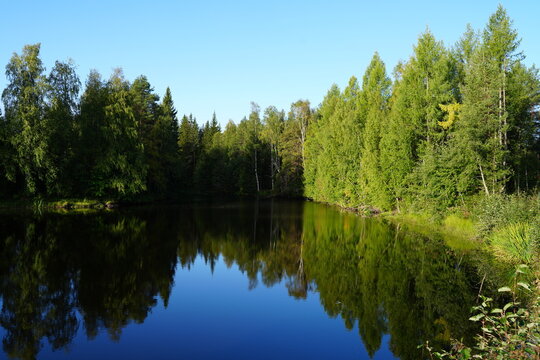 See und Nadelwald im Sanginjoki-Naturschutzgebiet, Finnland, Skandinavien, Europa, Wasser, blau, green, Wasserspiegelung, Natur