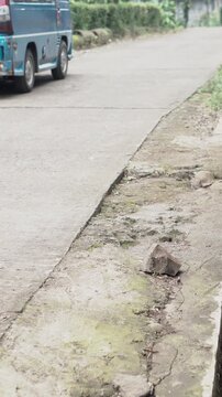 motorcyclists riding motorbikes on village roads.
