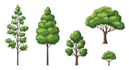 Fototapeta premium Diverse Green Trees Collection, Various Shapes and Sizes, Isolated on White Background